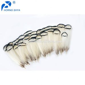 HP-25 Dame Amherst Pointes Blanches Plumage Naturel 1.5-3 pouces Blanc Paon Plumes De Faisan - Product Image 1
