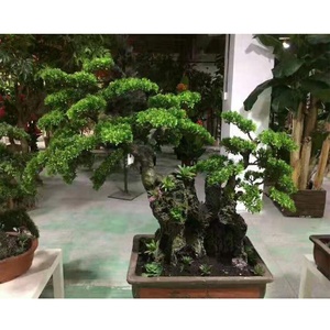 <span class=keywords><strong>Vendita</strong></span> di <span class=keywords><strong>piante</strong></span> verdi in plastica verde in fibra di vetro per interni Mini albero di pino artificiale sostenibile eco-friendly 110cm - Product Image 6