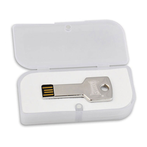 Promotional Gift Metal Key USB Flash Pen Drive 2G 4G 8G 16G 32G USB with Custom logo