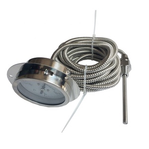 2.5 Inchi Posteriore Capillare Termometro - Product Image 4