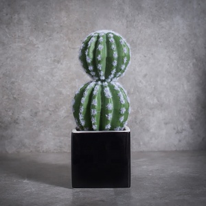 Vente chaude Décoration De La Maison En Céramique D'intérieur En Pot Plante Succulente <span class=keywords><strong>Grand</strong></span> <span class=keywords><strong>Cactus</strong></span> Artificiel - Product Image 5
