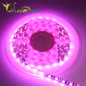 <span class=keywords><strong>La</strong></span> <span class=keywords><strong>aldea</strong></span> de Navidad luces 5 M 5050 Luz de tira led rgb conjunto - Product Image 5