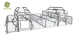 Jaulas de cerdito diseñadas para equipos de cría de cerdos - Product Image 3