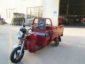 2018 mejor seguridad y Popular 48V 800W triciclo eléctrico para pasajeros - Product Image 3