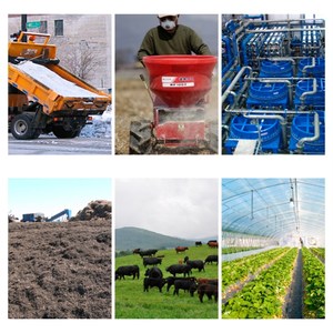 Zeolita de la acuicultura verde natural zeolita <span class=keywords><strong>clinoptilolita</strong></span> - Product Image 3