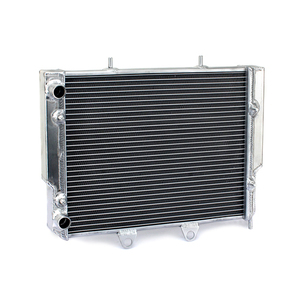 <span class=keywords><strong>Prix</strong></span> bas En Aluminium Polaris <span class=keywords><strong>RZR</strong></span> Radiateur Pour ATV Pièces De Rechange - Product Image 1