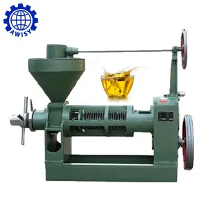 High oil output small cold-pressed moringa oil making machine coconut oil extraction machine