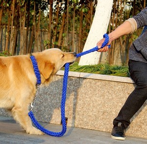Tali Anjing <span class=keywords><strong>Paracord</strong></span> Kepang Set Tali Anjing dan Tali Anjing Timbal <span class=keywords><strong>Slip</strong></span> dan Kerah - Product Image 6