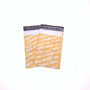 Sac de livraison en feuille à grande gousset, pièces, pour courrier sèche, expédition express, colis de courrier - Product Image 1