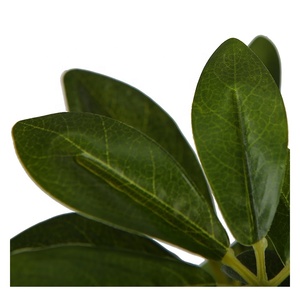 Décoration intérieure et extérieure de 12 pièces, petites plantes, vente <span class=keywords><strong>en</strong></span> gros, tiges de <span class=keywords><strong>feuillage</strong></span>, greffon décoratif, lot de feuilles <span class=keywords><strong>en</strong></span> <span class=keywords><strong>plastique</strong></span> - Product Image 3