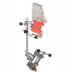 Semplice testa fantasma dentale per la pratica per la scienza medica <span class=keywords><strong>educazione</strong></span> <span class=keywords><strong>e</strong></span> <span class=keywords><strong>formazione</strong></span> odontoiatrica strumento <span class=keywords><strong>di</strong></span> insegnamento - Product Image 1