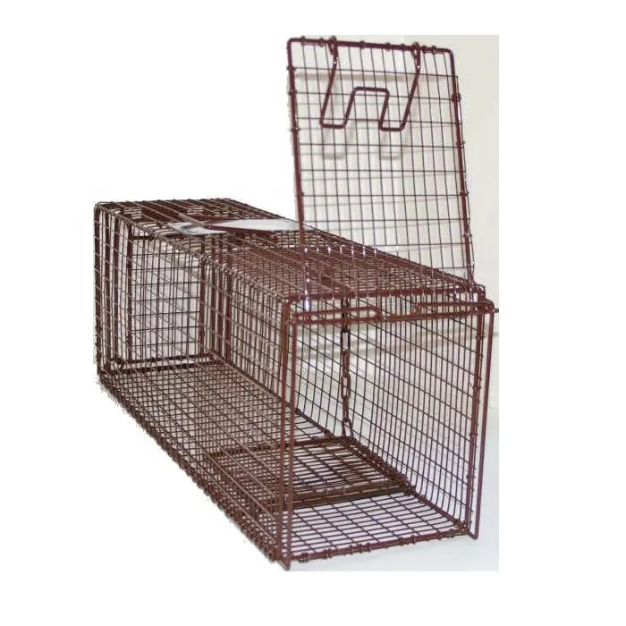 Strong Humane Catch Wire Mesh Cat Traps Cage For TNR on Sales