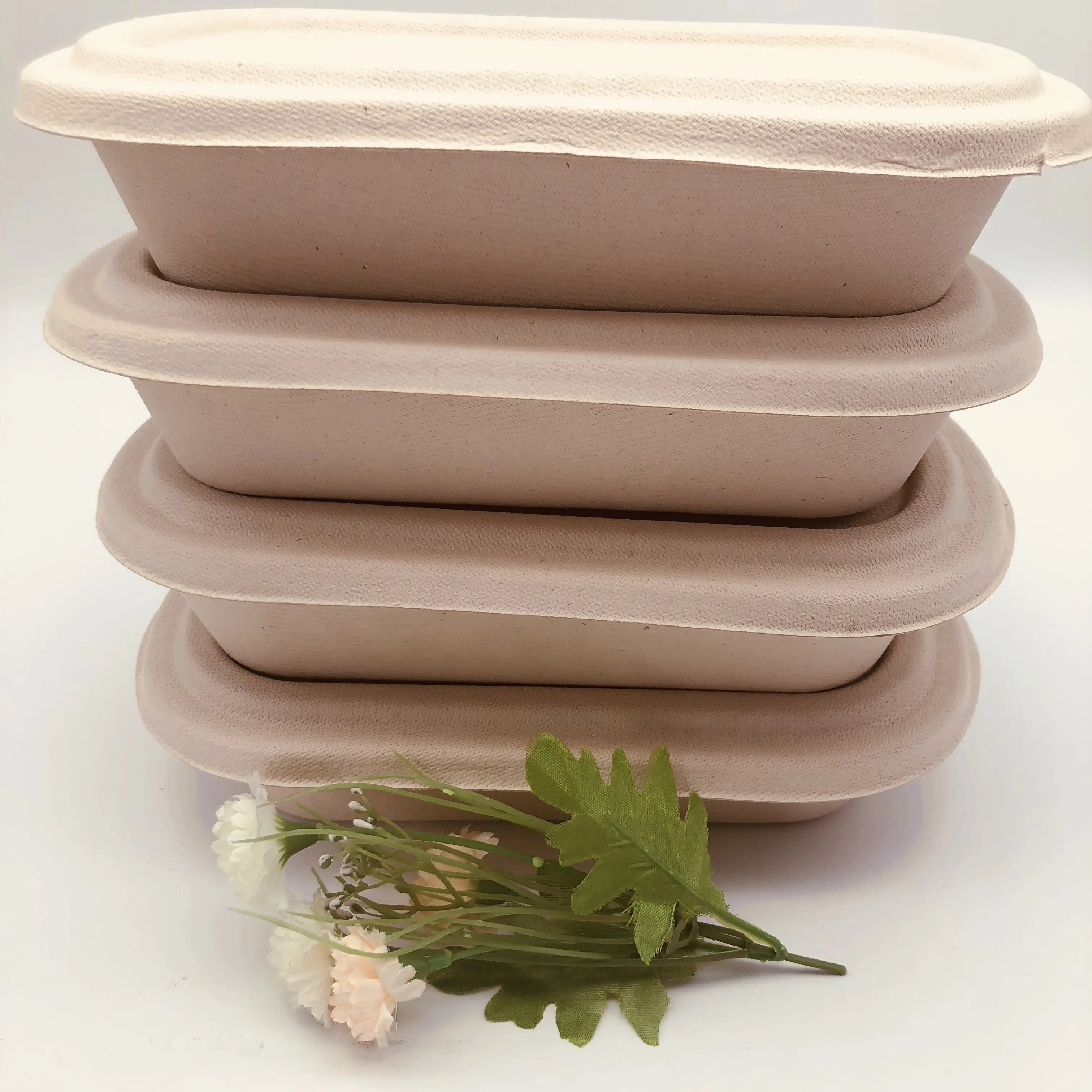 Eco Friendly compostable 1000ml Disposable food box with nutual pulp cover Sugar cane fiber take-away box with lid