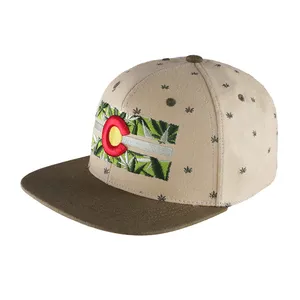 Bege Chapéu de Hip Hop Carta Bordar Algodão, Old School Conta Plana Snapback Chapéus Bonés