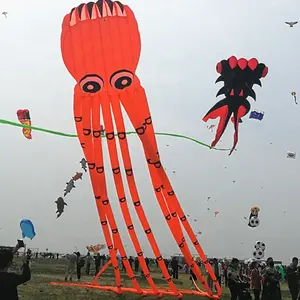 巨型充气显示章鱼风筝3D动物造型风筝完美的表现