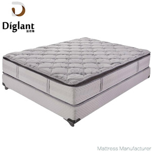 Diglant LIN-219-2 Bắc Cực Những Giấc Mơ Đem Lại Sức Sống Giấc Ngủ Ngọt Ngào Độc Lập Bọc Cuộn Dây Bộ Nhớ Duy Nhất Bọt Nệm - Product Image 5