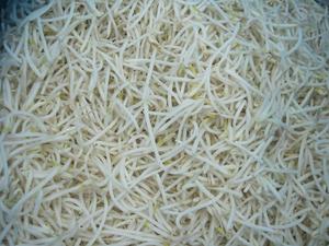 Xuất Khẩu Giá Rẻ Số Lượng Lớn Iqf Đông Lạnh Đậu Xanh MầM Sang Hàn Quốc - Product Image 4