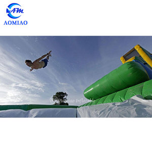 Thương Mại Dành Cho Người Lớn Kích Thước Bounce Vòng Inflatable Fly Nước Slides Và Nhảy Túi - Product Image 6