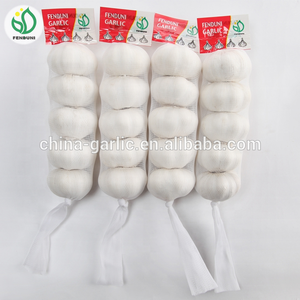 Precio del Ajo para el Mercado de <span class=keywords><strong>Trinidad</strong></span> y Tobago - Product Image 4