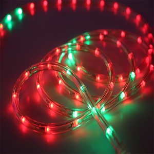 Vendita calda esterna di colore che cambia illuminazione corda luce della corda del led 220v 110v 24v 12v - Product Image 5
