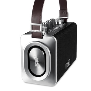 Amplificateur Guitare Sans Fil Karaoké Vocal PA Callvi V-830 20W - Product Image 5