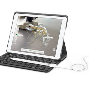 Câbles de charge pour <span class=keywords><strong>Apple</strong></span> Pencil, vente en gros d'usine - Product Image 6