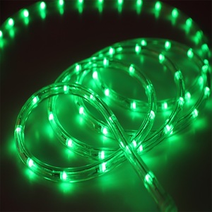 Vendita calda esterna di colore che cambia illuminazione corda luce della corda del led 220v 110v 24v 12v - Product Image 2