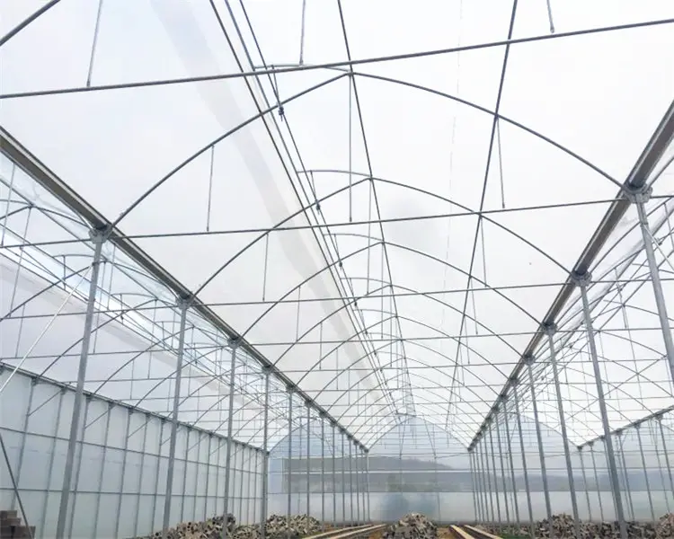 Nhà kính nông nghiệp thủy canh nông nghiệp cấy cây giống cà chua trong PP máng hydroponics phát triển