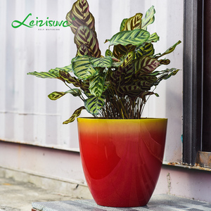 Leizisure moderno barato de plástico de la flor macetas y jardineras macetas para plantas - Product Image 4