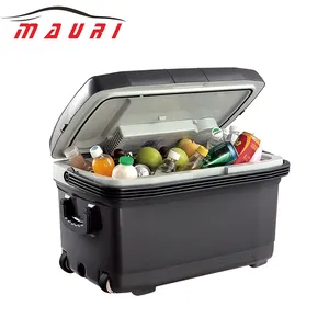 12 V 24 V 70 W 45L grande de cerveza de plástico sangre transporte insulina pesca batería eléctrica de hielo de la caja del refrigerador