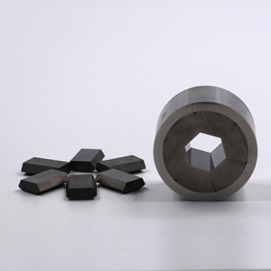 CARBURO <span class=keywords><strong>DE</strong></span> TUNGSTENO EN FRÍO MORIR CON <span class=keywords><strong>PRECIO</strong></span> RAZONABLE <span class=keywords><strong>DE</strong></span> CHINA - Product Image 2