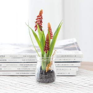 Venta al por mayor decoración de casa de vidrio pequeño regalo hierba <span class=keywords><strong>plantas</strong></span> flor tulipán Artificial - Product Image 3