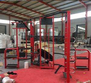 Stazione Multifunzione per Palestra a Prezzo di Fabbrica, Macchina Synergy 360 - Product Image 2