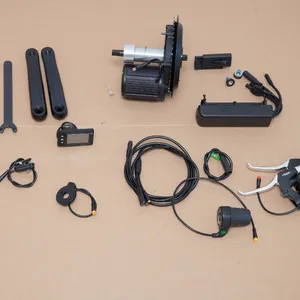 250 watt-1000 watt Programmierbare Vector Regler brushless motor e-bike-kit mit ce-zulassung