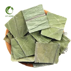 New Arrived Lotus Leaf Piece Dried Lotus leaf Tea for Lose Weight