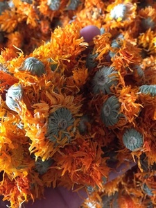 Fiori Interi di Calendula Essiccati, Calendula Officinale per <span class=keywords><strong>Tisane</strong></span> <span class=keywords><strong>Naturali</strong></span> - Product Image 6
