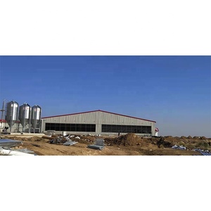 Bâtiment d'élevage de porcs en acier à faible coût / Porcherie / Étable à porcs - Product Image 6