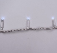 Outdoor IP65 Wasserdichte Weihnachts-Lichterkette Gummikabel LED-Lichterkette 100 Glühbirnen 10M Länge Energiesparend CE/RoHS Zertifiziert