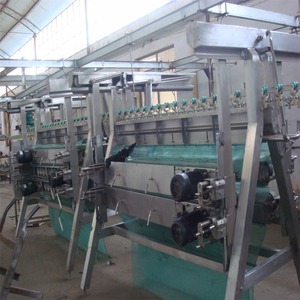 Kleine 500bph Hühner schlacht linie mit Schlachthof maschine - Product Image 2