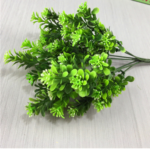 Artificial hojas redondas <span class=keywords><strong>de</strong></span> oro dinero sale <span class=keywords><strong>de</strong></span> hojas <span class=keywords><strong>de</strong></span> eucalipto simulación <span class=keywords><strong>de</strong></span> <span class=keywords><strong>la</strong></span> planta <span class=keywords><strong>de</strong></span> <span class=keywords><strong>flor</strong></span> - Product Image 1
