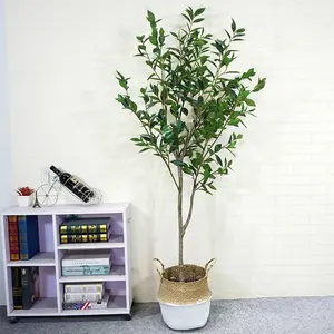 <span class=keywords><strong>Arbre</strong></span> de <span class=keywords><strong>laurier</strong></span> de haute qualité / <span class=keywords><strong>Arbre</strong></span> de <span class=keywords><strong>laurier</strong></span> artificiel Décoration Arbres de bois doux artificiels / Plantes artificielles en gros pour l'extérieur - Product Image 1