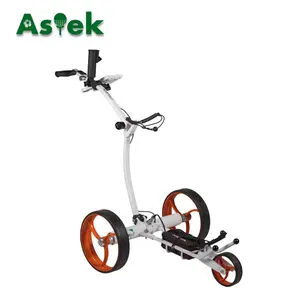 Keranjang Golf Elektrik, Keranjang Golf Elektrik, Baterai Lithium 24V DC, Lipat Bingkai Aluminium 3 Roda