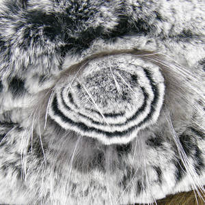 个性化手工刺绣法国毛皮可调贝雷帽 -- 定制钓鱼和旅行冬帽 - Product Image 5