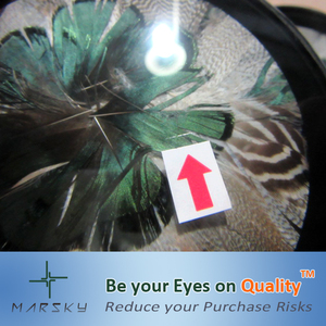 Fujian Quanzhou <strong>Inspection</strong> <strong>Service</strong> - Product Image 3