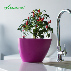 oficina mesa de escritorio barato al por mayor de lujo macetas planta pequeña macetas para plantas suculentas - Product Image 3