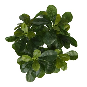 Decoración de pared Artificial, hoja de plástico, decoración para <span class=keywords><strong>el</strong></span> hogar y la Oficina, simulación de hojas tropicales, verde, ramo de hojas artificiales - Product Image 2