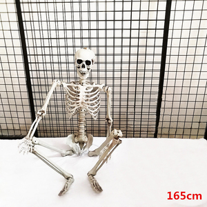 Bán Buôn Thời Trang Trung Quốc Hợp Thời Trang Ba Loại Kích Thước Halloween Skeleton - Product Image 2