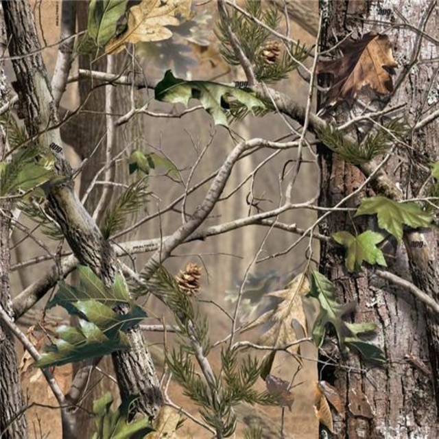 94 Polyester 6 Spandex Camo Realtree Camouflage Stretchable Camouflage Printing Softshell Fabric