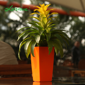 Leizisure Office Table Plastic Mini Small Tall Square Maceta para plantas con autorretrato, Macetero, Maceta - Product Image 2