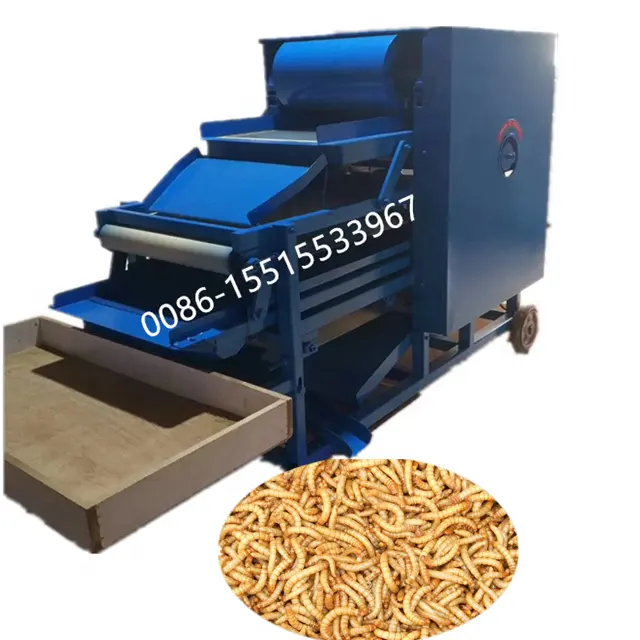 Mealworm Beetle 정렬 기계 자동 먼지-free 테네 브리오 몰 리터 분리기 기계 Mealworm 기계